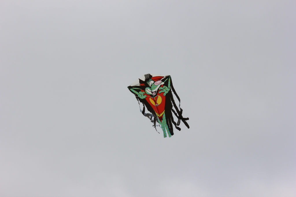 drachen-8